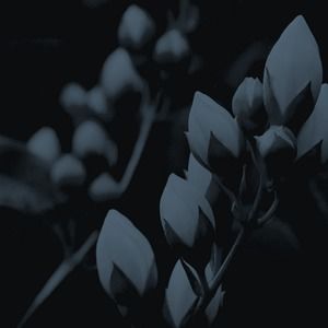 Meet your Posher, Margaret